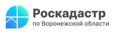 Все лесничества Воронежской области внесены в ЕГРН.