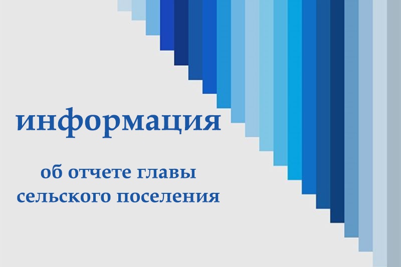 отчет Главы администрации Краснянского сельского поселения С.А. Тыняного.